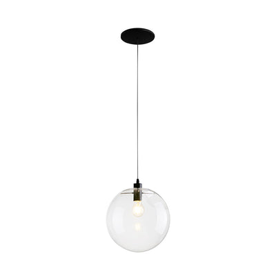 Contemporary Clear Glass Globe Pendant Light, Adjustable Black Finish, E26/E27 Socket