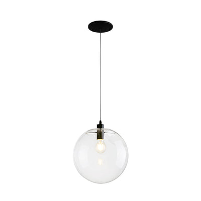 Contemporary Clear Glass Globe Pendant Light, Adjustable Black Finish, E26/E27 Socket