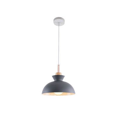 Modern Dome Metal Hanging Pendant Light with Adjustable Cord for Kitchen Dining