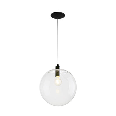 Contemporary Clear Glass Globe Pendant Light, Adjustable Black Finish, E26/E27 Socket
