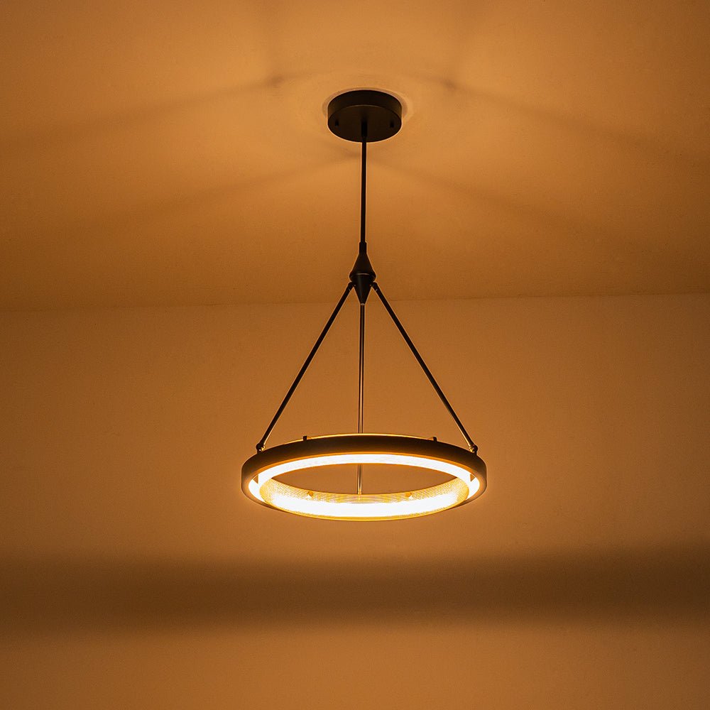 Dimmable LED Metal Mesh Circle Pendant Light - Adjustable Height, Black Gold