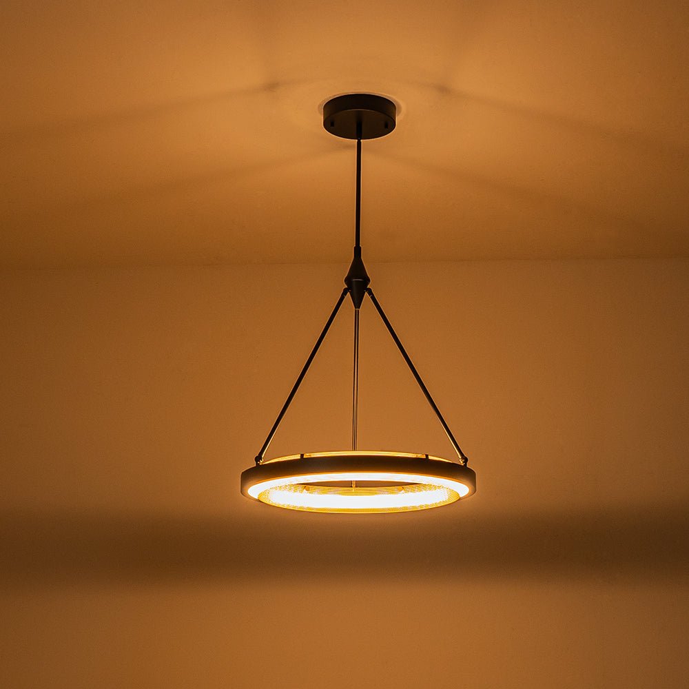 Dimmable LED Metal Mesh Circle Pendant Light - Adjustable Height, Black Gold