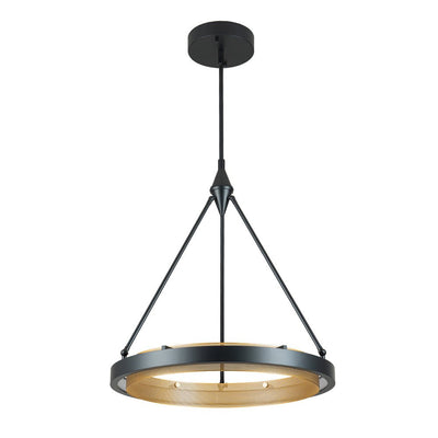 Dimmable LED Metal Mesh Circle Pendant Light - Adjustable Height, Black Gold