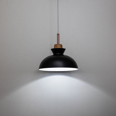 Modern Dome Metal Hanging Pendant Light with Adjustable Cord for Kitchen Dining